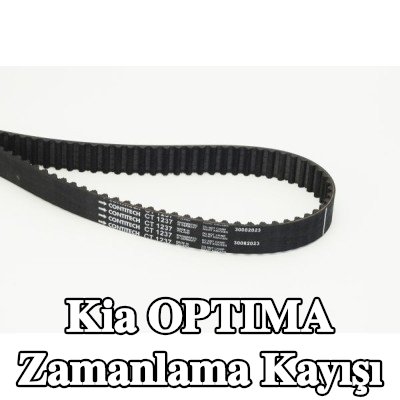 CONTITECH Triger Kayışı Diş Sayısı: 142, 1353mm — Kia Optima
