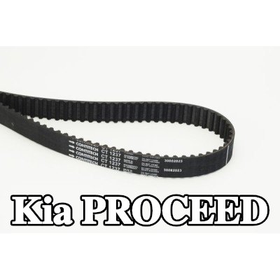 CONTITECH عدد أسنان حزام التوقيت: 142, 1353mm — Kia Proceed