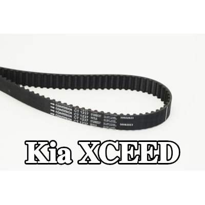 CONTITECH عدد أسنان حزام التوقيت: 142, 1353mm — Kia Xceed