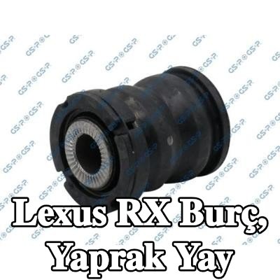 GSP Burç, yaprak yay — 1998 Lexus Rx