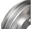BOSCH Arka aks fren kampanası, 244mm — Ford Ka (3)