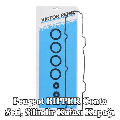 REINZ Conta seti, silindir kafası kapağı — Peugeot Bipper