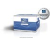 DT Spare Parts Silindir Kafası Cıvatası — Renault Master (2)