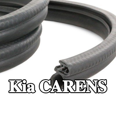 Metalcaucho حشية الباب باب السيارة — 2000 Kia Carens
