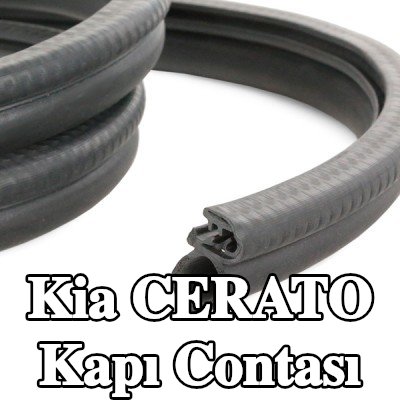 Metalcaucho Kapı contası Araç kapısı — 2012 Kia Cerato