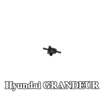 BOSCH صمام تنفيس خزان الوقود — Hyundai Grandeur