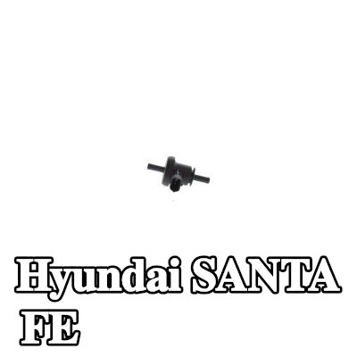BOSCH صمام تنفيس خزان الوقود — Hyundai Santa Fe