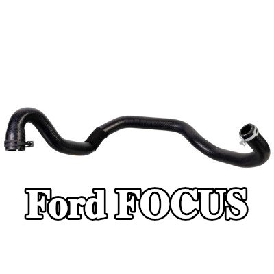 FEBI BILSTEIN خرطوم المبرد مع المشابك — 2012 Ford Focus