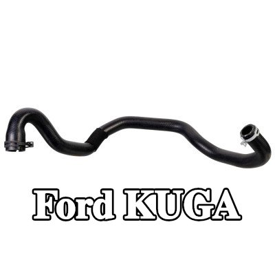 FEBI BILSTEIN خرطوم المبرد مع المشابك — Ford Kuga