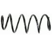 SACHS Helezon yay — SEAT Toledo (4)