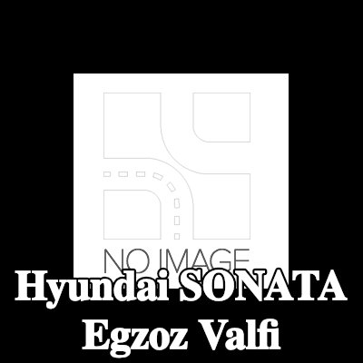 NE Egzoz valfi, egzoz tarafı, Nitrürlenmiş valf gövdesi — 2012 Hyundai Sonata