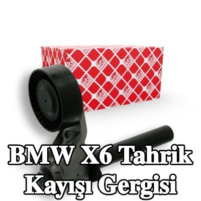 FEBI BILSTEIN Tahrik kayışı gergisi — 2008 BMW X6
