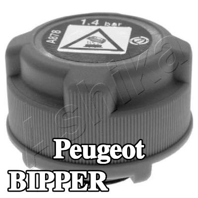 ASHIKA غطاء المبرد — Peugeot Bipper