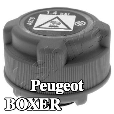 ASHIKA غطاء المبرد — Peugeot Boxer