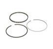 RIDEX Piston Segman Kiti — Toyota Starlet (2)