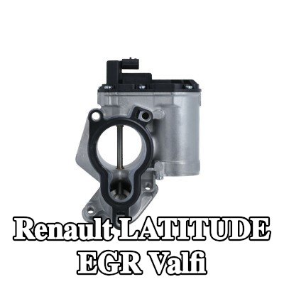 VALEO Contalı/sızdırmazlık elemanlı EGR valfi — Renault Latitude