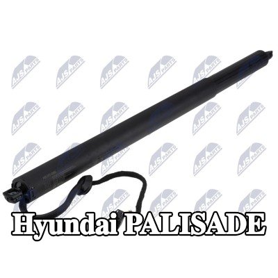 NTY محرك كهربائي، الباب الخلفي — Hyundai Palisade