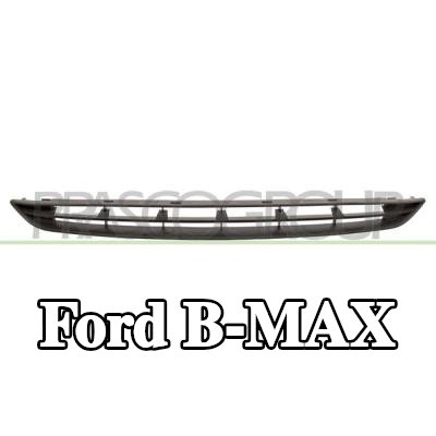 PRASCO شبكة المبرد باللون الأسود — Ford B-max