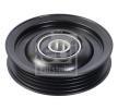 FEBI BILSTEIN Saptırma / kılavuz kasnağı, V-ribbed belt Outer Diameter: 85mm — Nissan Cabstar E (4)