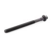 REINZ Cıvata Kiti, silindir kafası M12, 157mm — Renault Safrane (4)