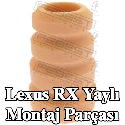 FEBEST Arka Aks Yay Montajı — 2002 Lexus Rx