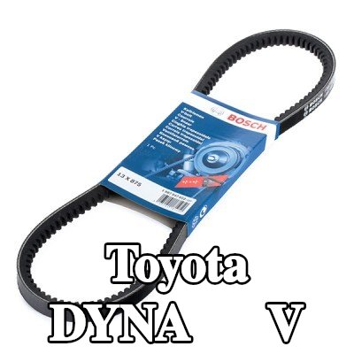 BOSCH حزام V 875mm — Toyota Dyna