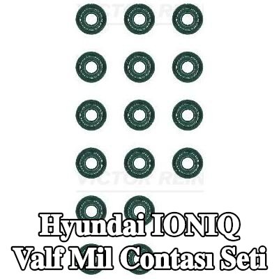 REINZ Valf mil contası seti — Hyundai Ioniq