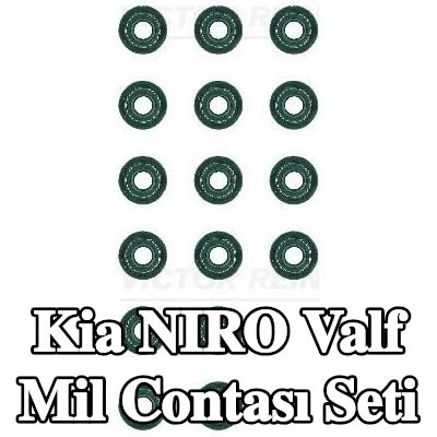 REINZ Valf mil contası seti — Kia Niro