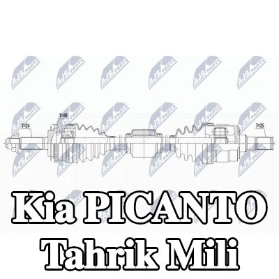 NTY Tahrik mili Ön Aks Sağ, 881mm — 2012 Kia Picanto