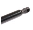 RIDEX Bagaj kapağı desteği 524mm — Honda Accord (5)