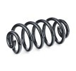 SACHS Helezon yay — 2004 Audi A6 (2)