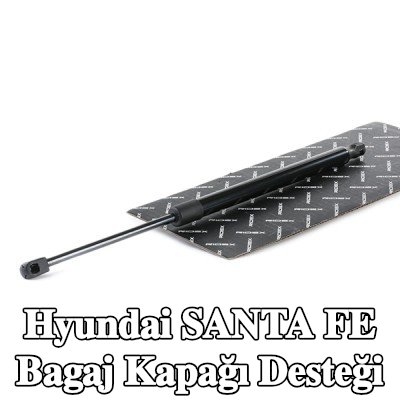 RIDEX Bagaj kapağı desteği — 2016 Hyundai Santa Fe
