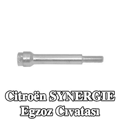WALKER Egzoz cıvatası — Citroën Synergie