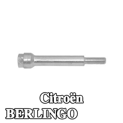 WALKER برغي العادم — Citroën Berlingo