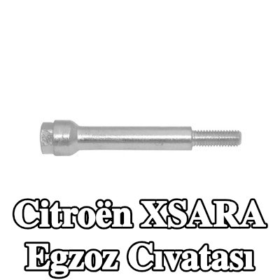 WALKER Egzoz cıvatası — 2000 Citroën Xsara