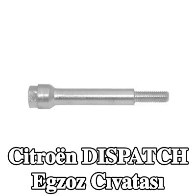 WALKER Egzoz cıvatası — 2002 Citroën Dispatch