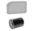 RIDEX PLUS Filtre kiti — Kia Soul (3)