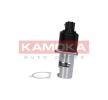 KAMOKA EGR valfi — Citroën C35 (3)