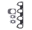 ELRING Conta seti, EGR sistemi — Ford Transit Connect (2)