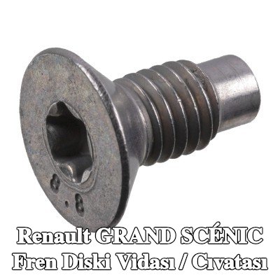 FEBI BILSTEIN Fren diski vidası / cıvatası — Renault Grand Scénic