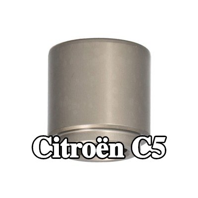 LTD مكبس مكابح المحور الخلفي — 2002 Citroën C5