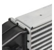RIDEX Intercooler Çekirdek Boyutları: 540 x 157 x 62 mm — 2005 BMW X3 (4)