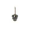 BOSCH Ksenon ampul — Peugeot 607 (3)