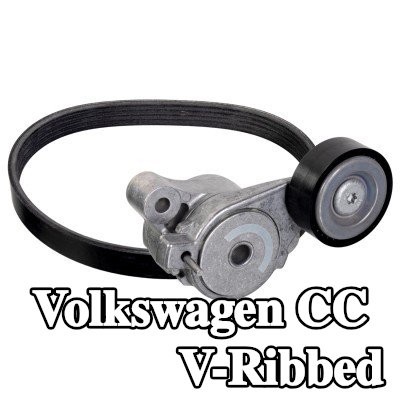FEBI BILSTEIN مجموعة أحزمة V-Ribbed — Volkswagen Cc