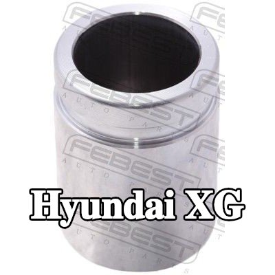 FEBEST مكبس مكابح المحور الخلفي — Hyundai Xg