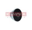 KAMOKA Alternatör debriyaj kasnağı — Chevrolet Kalos (6)