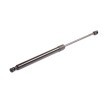 RIDEX Bagaj kapağı desteği 524mm — Honda Accord (6)