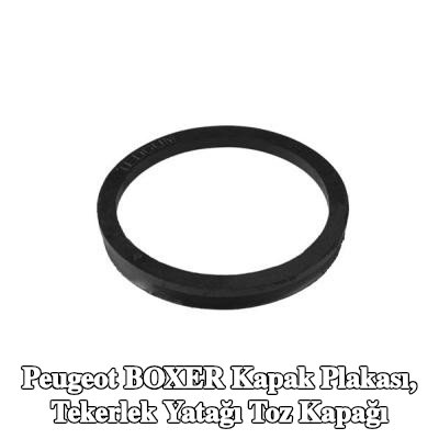 TEDGUM Kapak Plakası, tekerlek yatağı toz kapağı — Peugeot Boxer