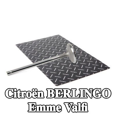 RIDEX Emme valfi — 2012 Citroën Berlingo