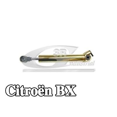 3RG الاسطوانة التابعة لنظام التوجيه المعزز — Citroën Bx